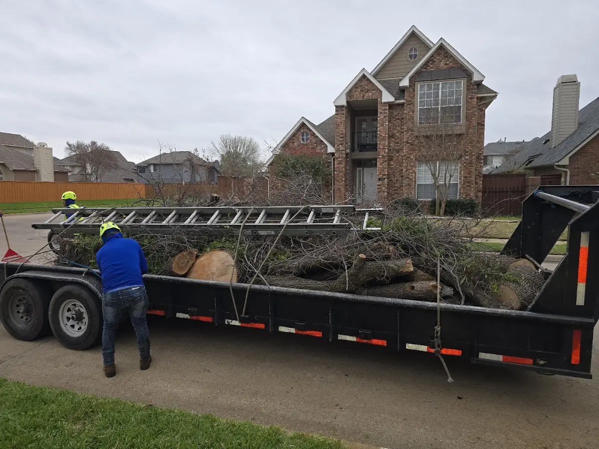 Expert Tree Pest Control with proper safety equipment in Hurdland